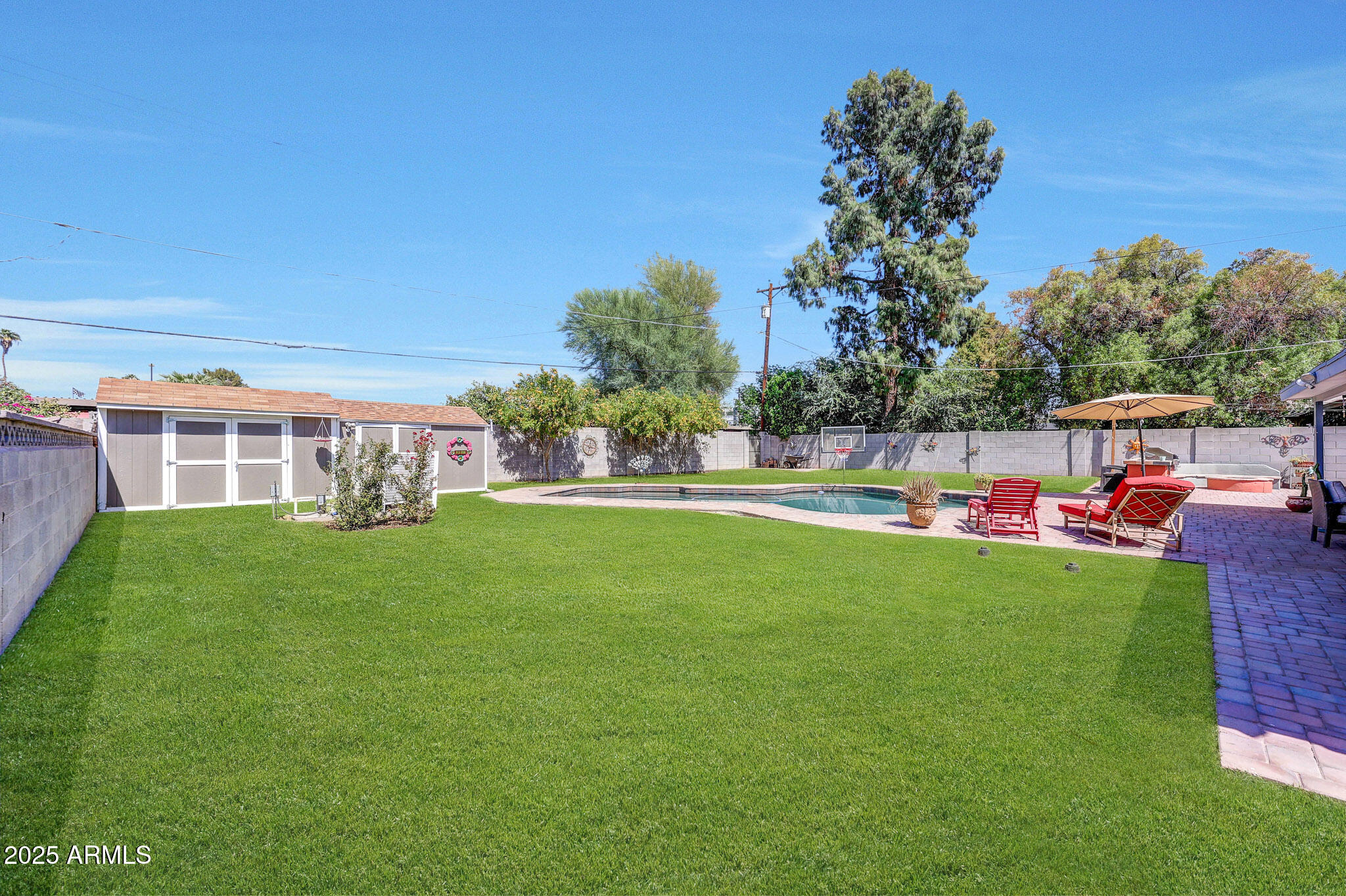 4108 East Edgemont Avenue Phoenix, AZ 85018 - Photo 64 of 118 GRASS (9)