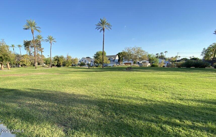 4108 East Edgemont Avenue Phoenix, AZ 85018 - Photo 73 of 118 a view of a big yard with a palm tree