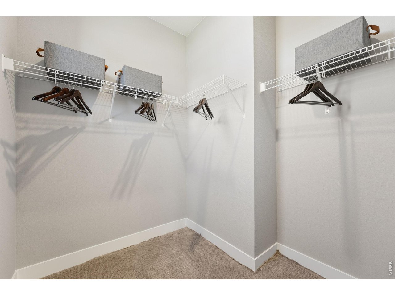 990 Nettle Lane Fort Collins, CO 80524 - Photo 22 of 39 Spacious primary closet with a window