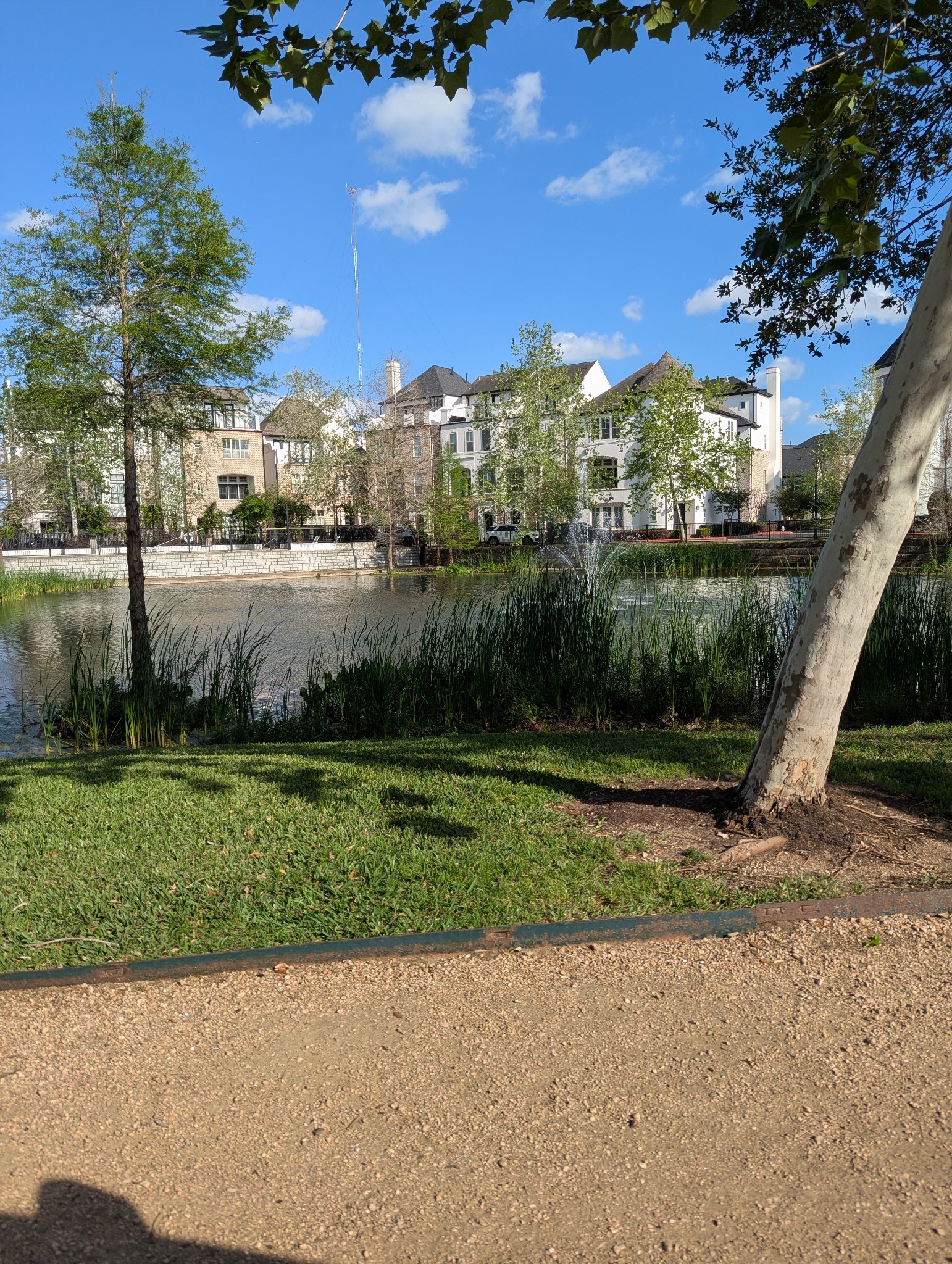 a view of a garden with a houses