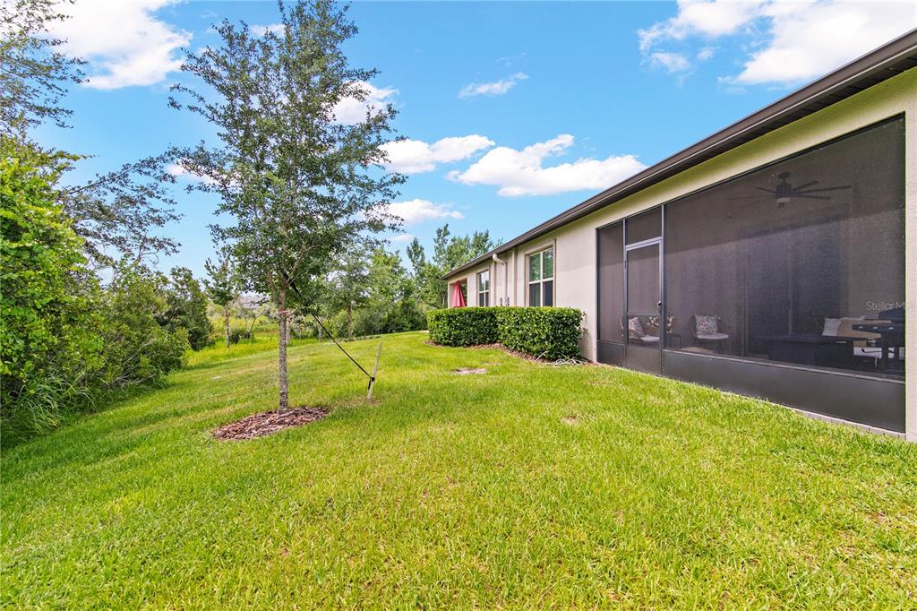 9890 Red Bay Loop Land O Lakes, FL 34637 - Photo 30 of 65