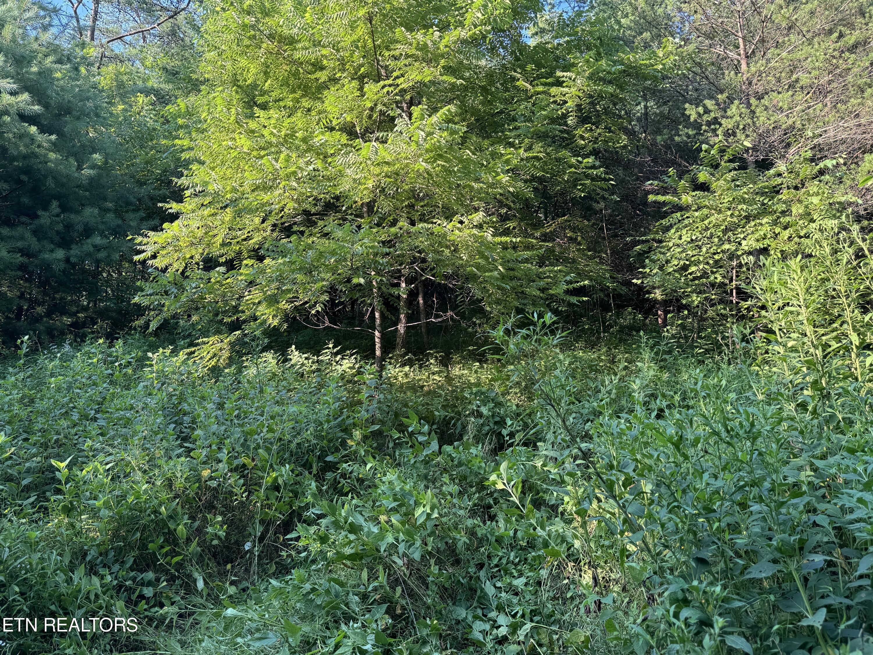 dry fork