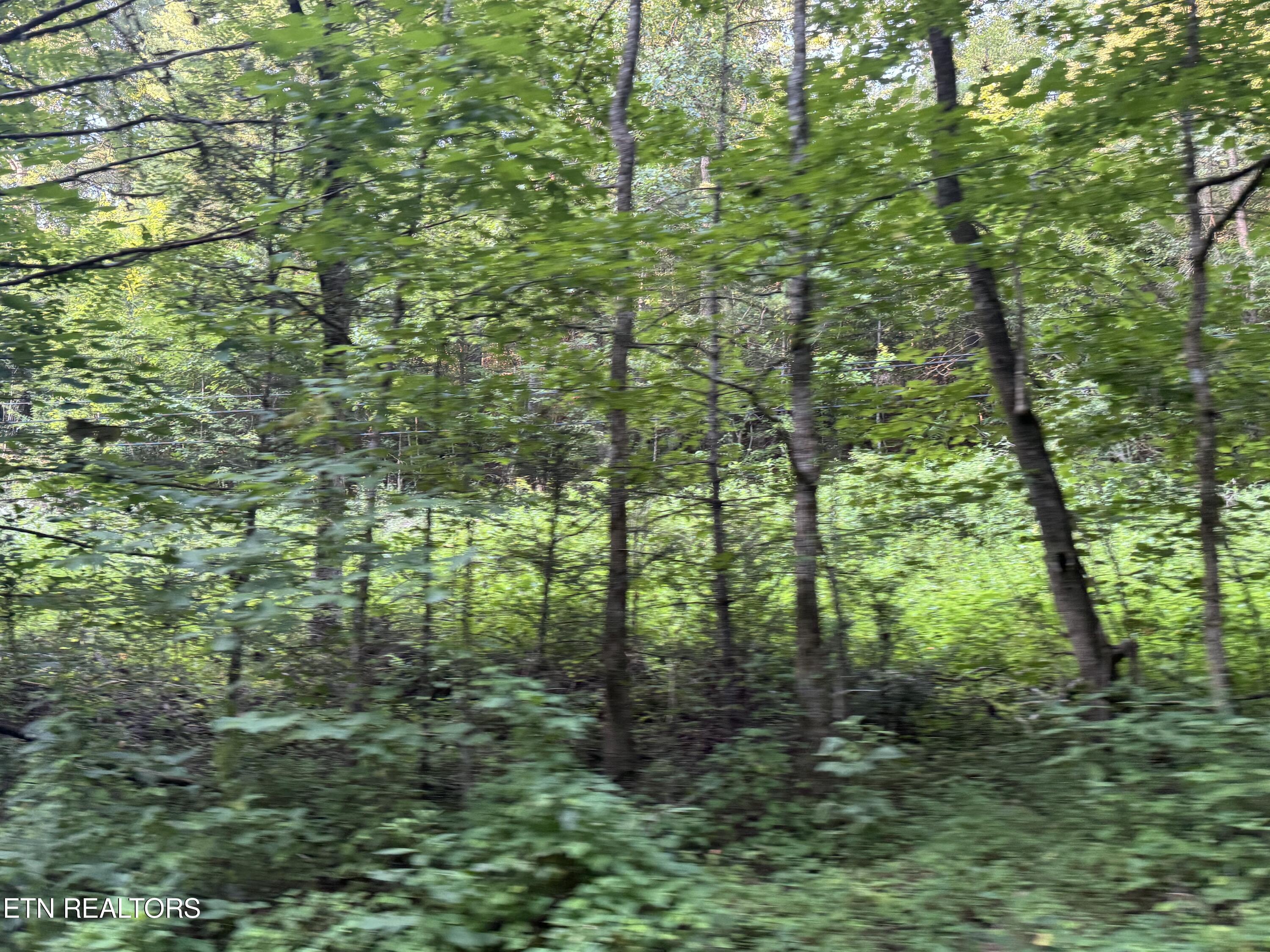 Dry Fork Road Del Rio, TN 37727 - Photo 4 of 12 IMG_1221