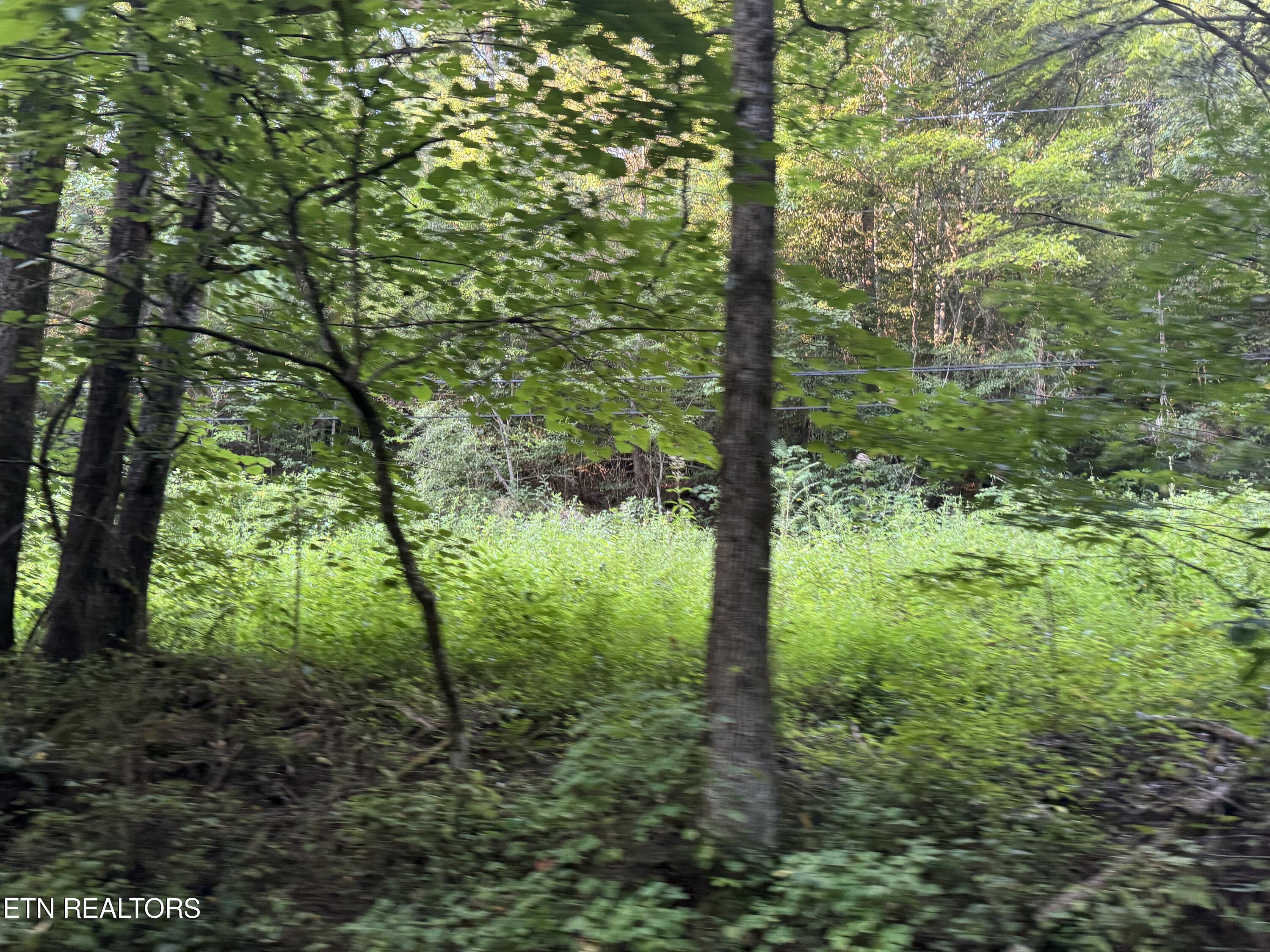 Dry Fork Road Del Rio, TN 37727 - Photo 5 of 12 IMG_1219