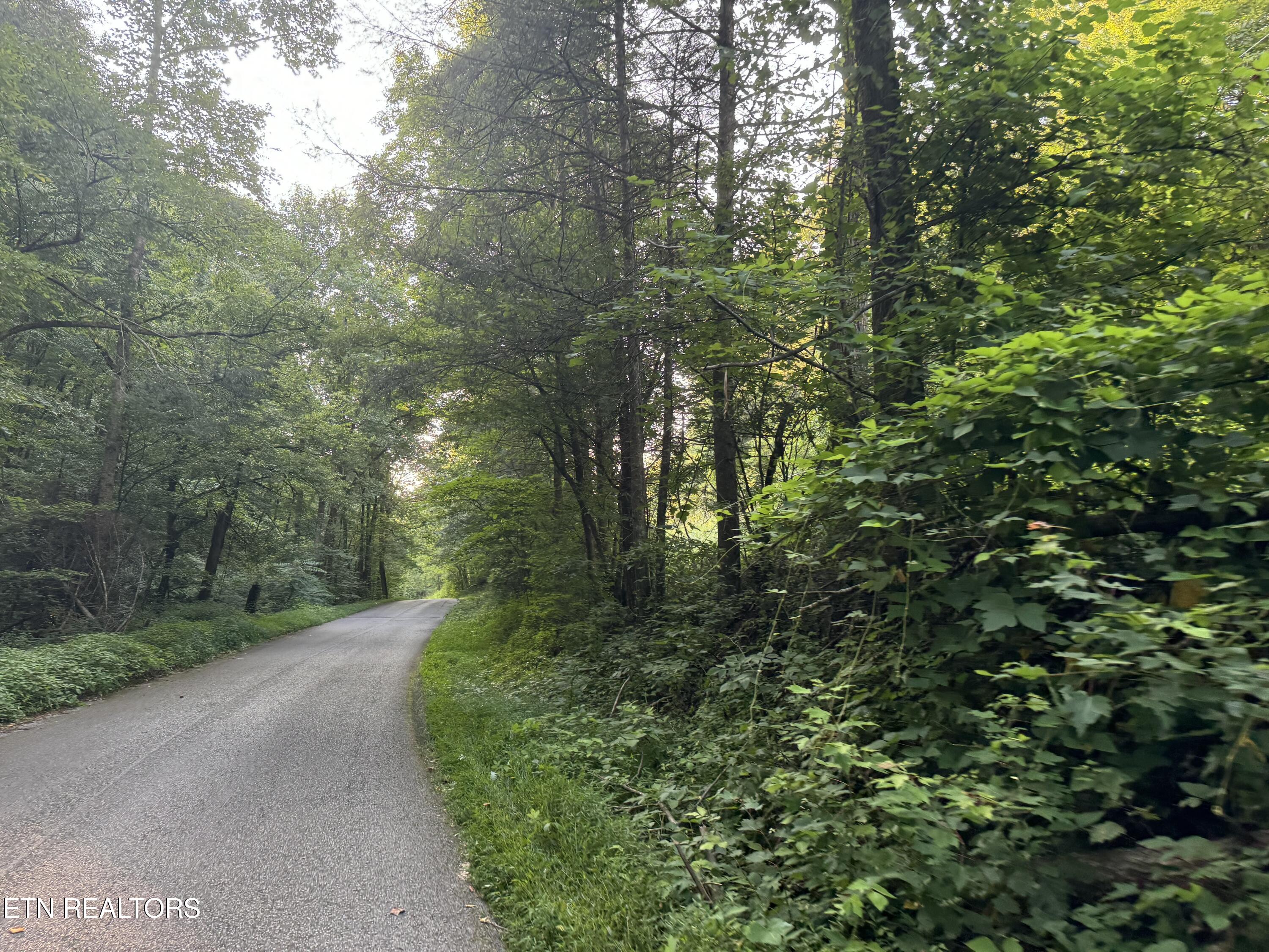 Dry Fork Road Del Rio, TN 37727 - Photo 6 of 12 IMG_1218