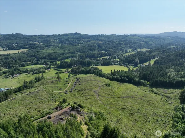 an aerial view of houses covered in trees