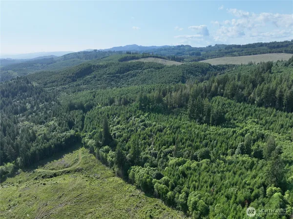 a view of a lush green hillside and a houses