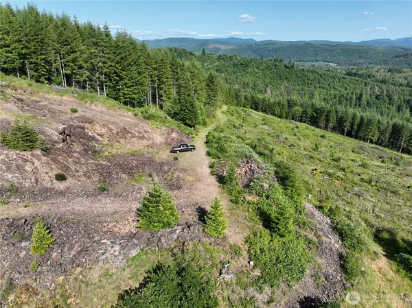 a view of a yard with a mountain