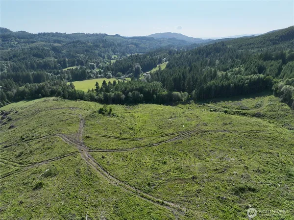 a view of a lush green field