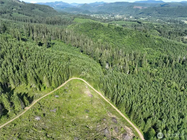 a view of a green field with lots of bushes
