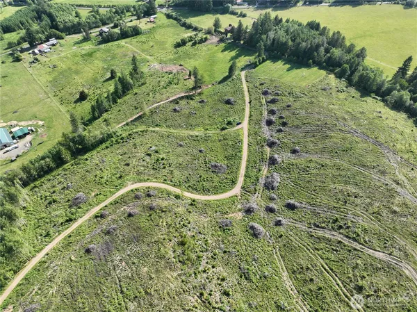 a view of a pathway both side of yard