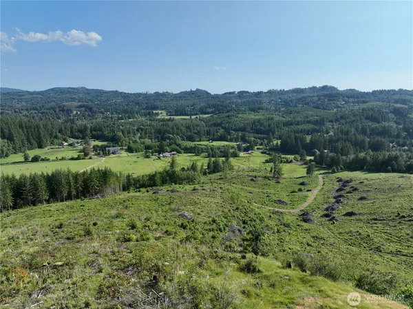 a view of a lush green field with lots of trees in it