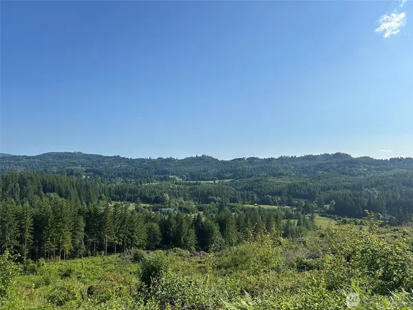 a view of a lush green forest with mountains in the background