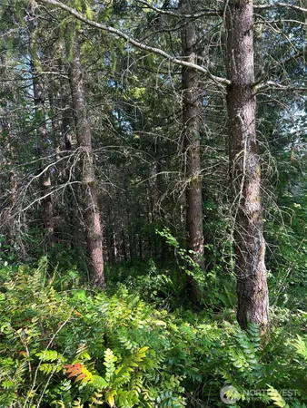a view of a garden