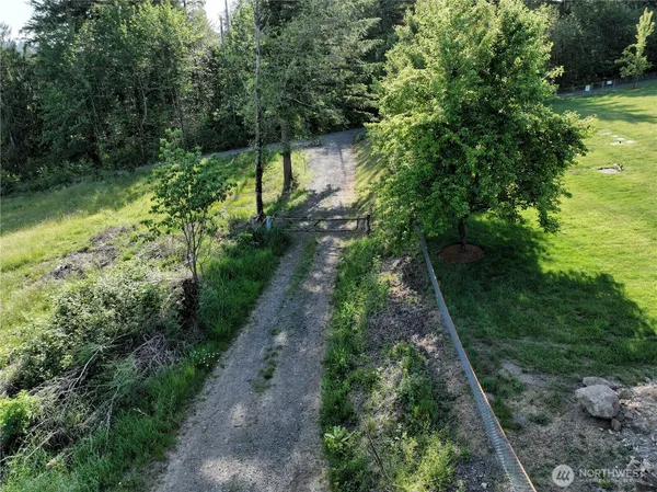a view of a yard with large trees