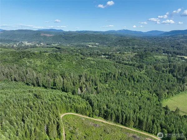 a view of a green field with lots of bushes
