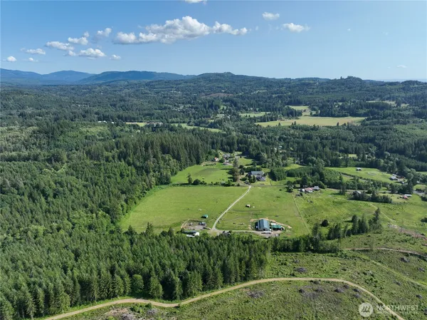 an aerial view of green landscape with trees houses and mountain view