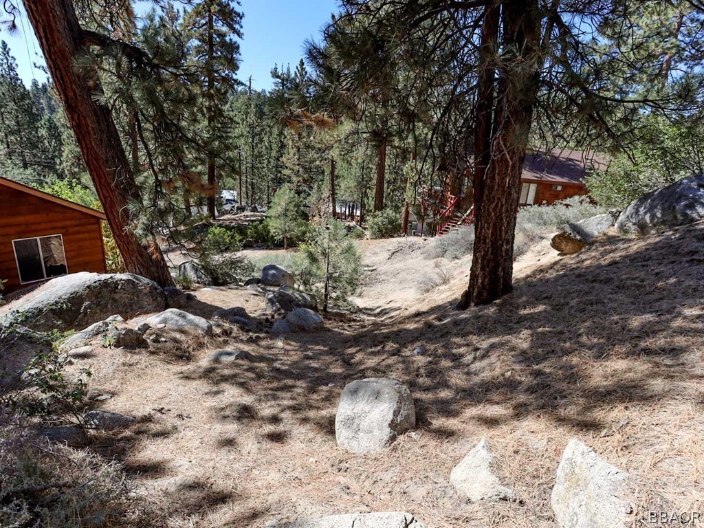 0 Cedar Dell Road Fawnskin, CA 92333 - Photo 7 of 11 a view of a yard with large trees