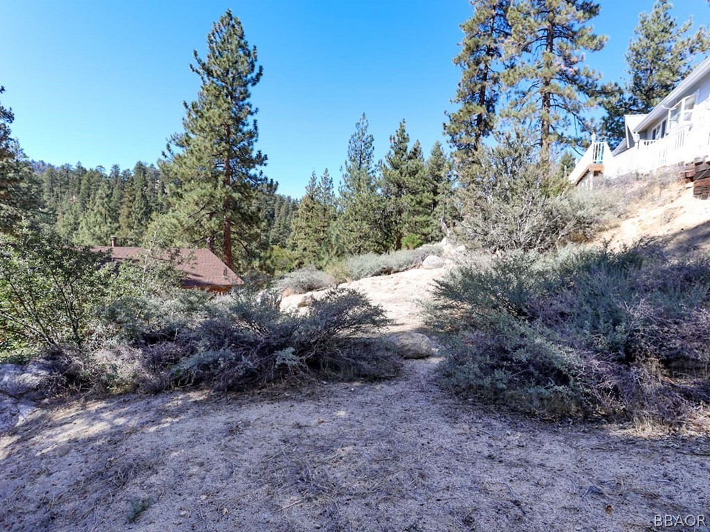 0 Cedar Dell Road Fawnskin, CA 92333 - Photo 10 of 11 a view of a yard