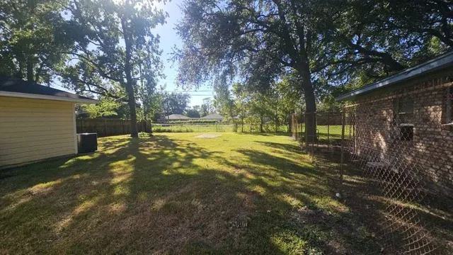 a view of a yard with a tree