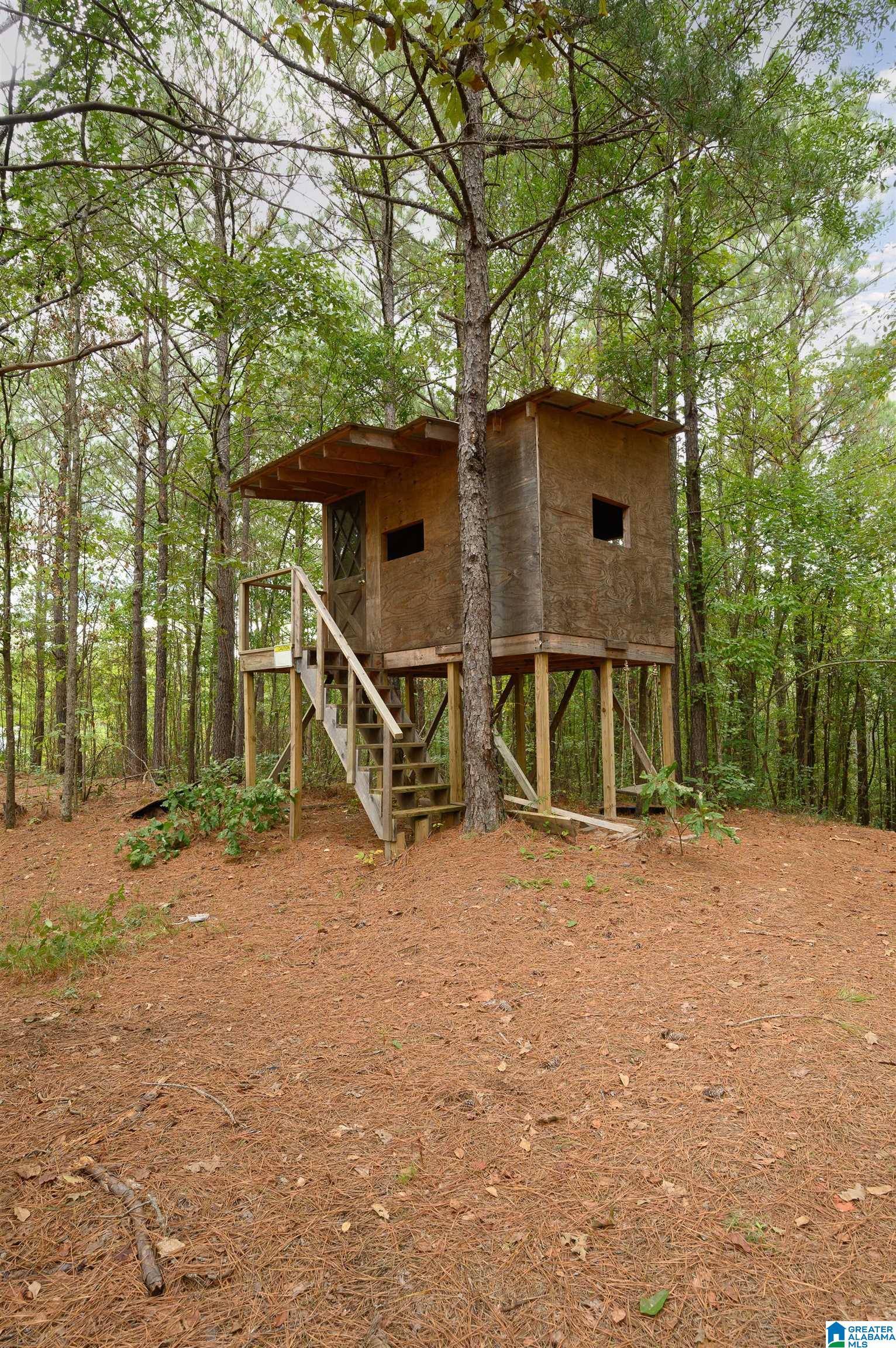 20534 Cathedral Lane McCalla, AL 35111 - Photo 38 of 51