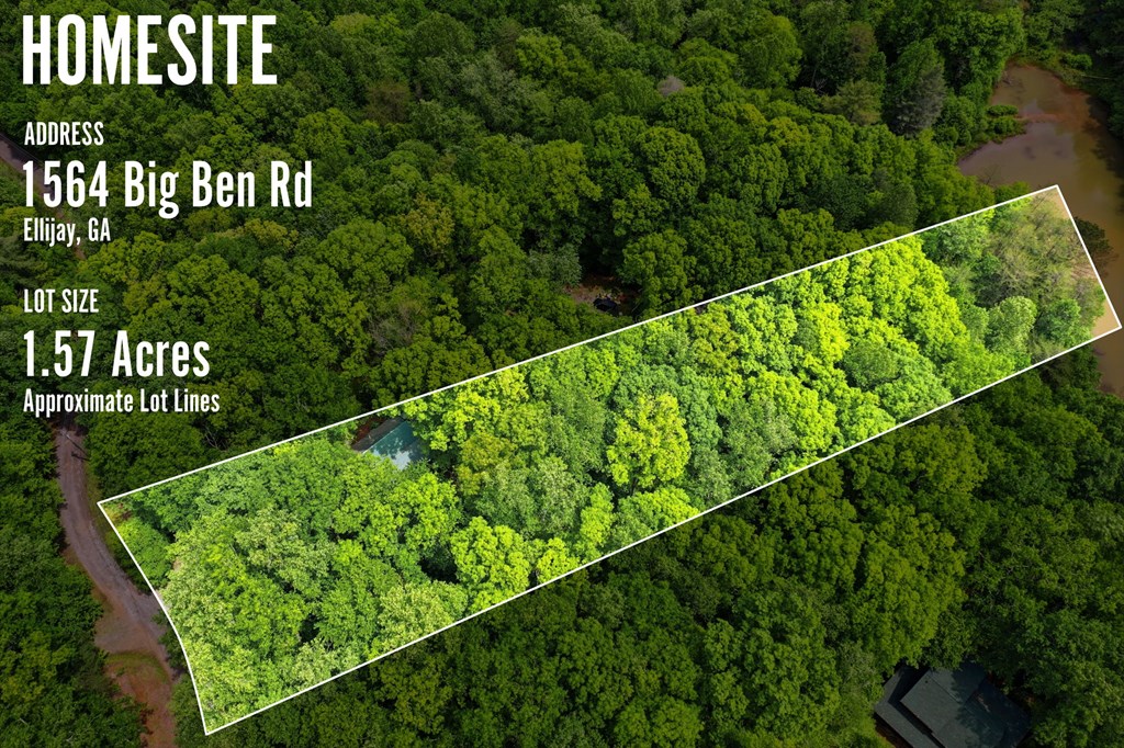 1564 Big Ben Road Ellijay, GA 30540 - Photo 11 of 63 Gallery Image 11