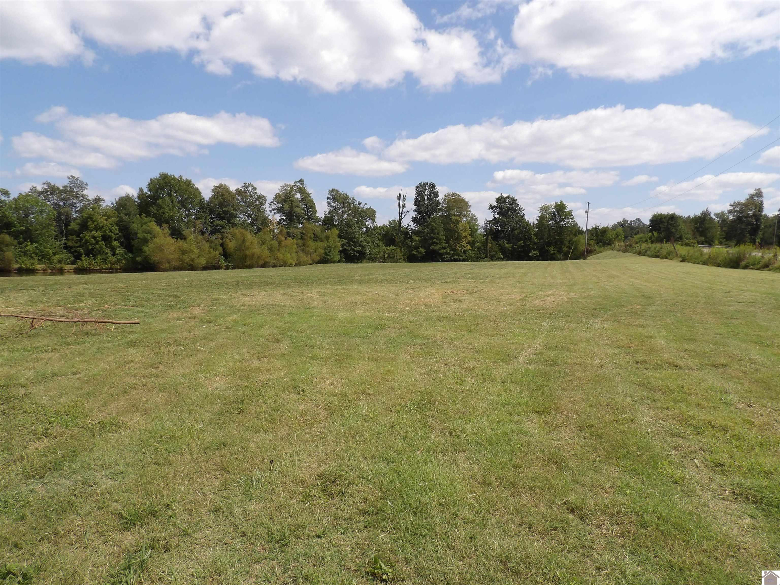 542 Lowes Road Cunningham, KY 42035 - Photo 6 of 30 Photo 6