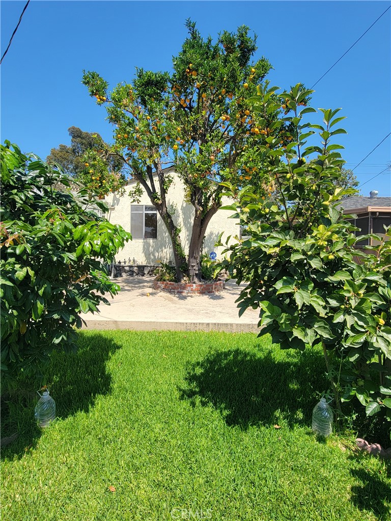 15113 Studebaker Road Norwalk, CA 90650 - Photo 8 of 8 Back yard facing house