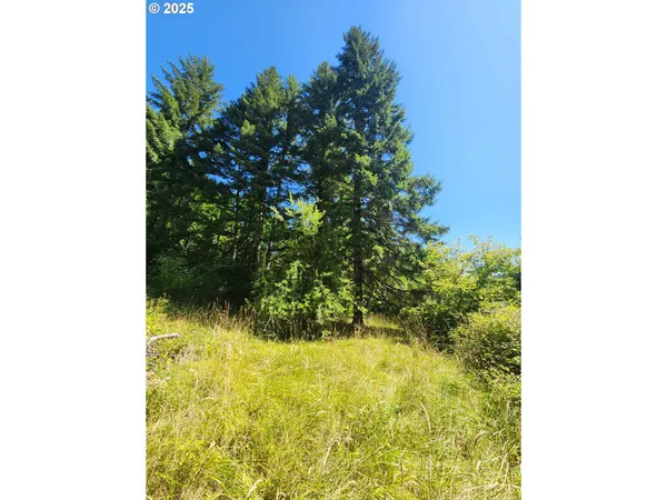 $199,900 | 16807 Highway 36, Deadwood, OR 97430