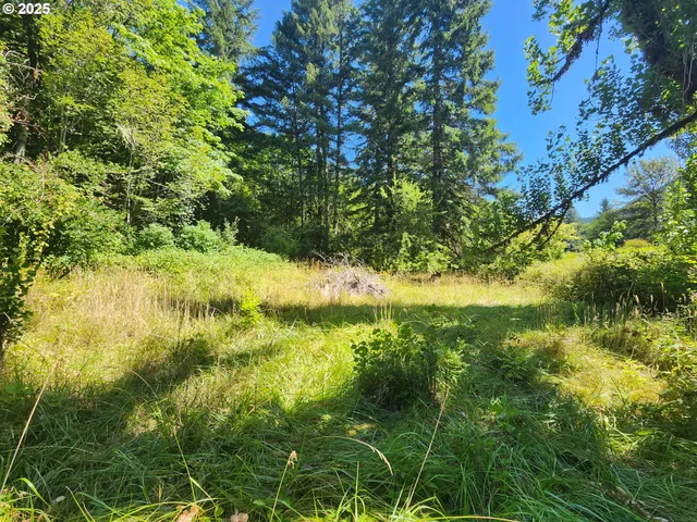 a view of yard with green space