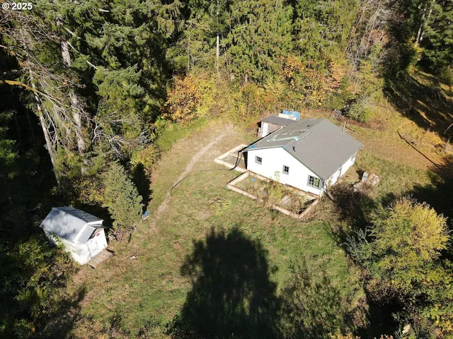 a view of a yard with plants