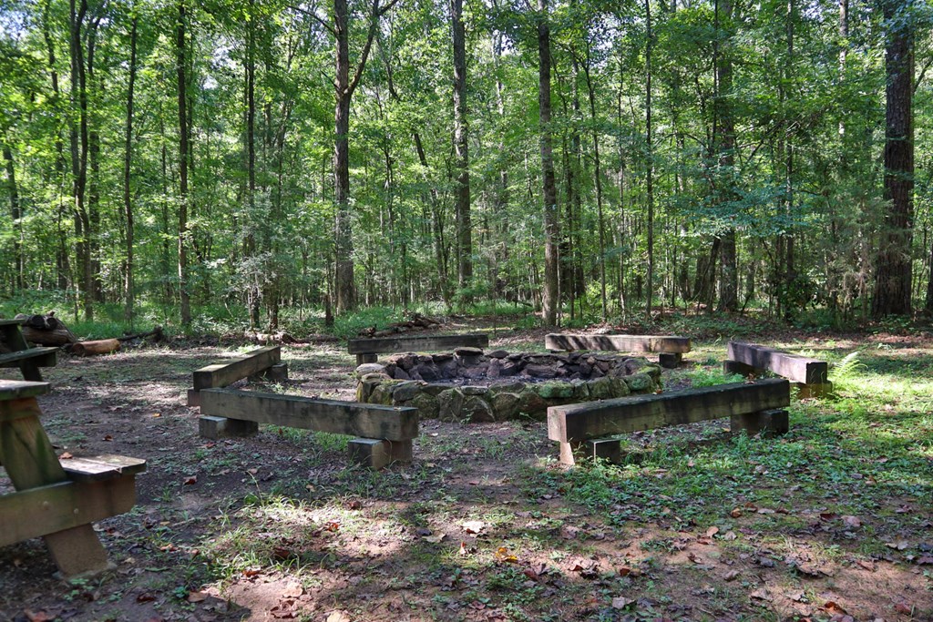 981 Preston Road Cataula, GA 31804 - Photo 26 of 37 Gallery Image 26