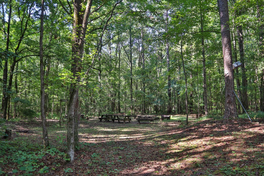 981 Preston Road Cataula, GA 31804 - Photo 28 of 37 Gallery Image 28