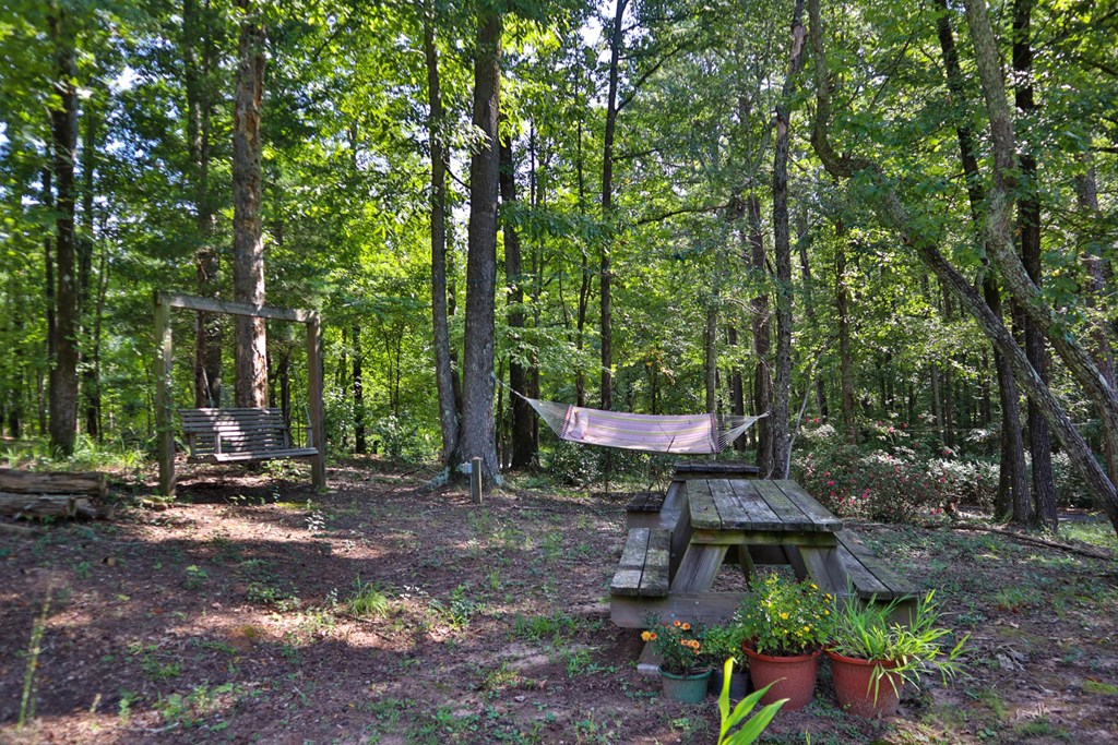 981 Preston Road Cataula, GA 31804 - Photo 29 of 37 Gallery Image 29