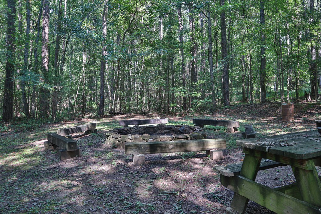 981 Preston Road Cataula, GA 31804 - Photo 10 of 37 Gallery Image 10