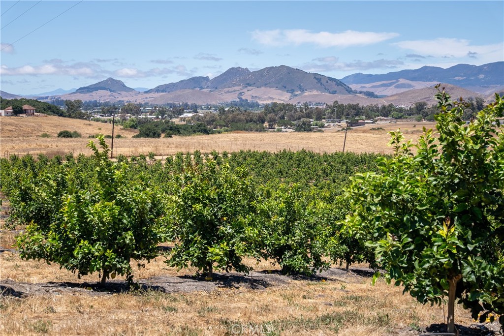 5502 Los Ranchos Road San Luis Obispo, CA 93401 - Photo 19 of 75