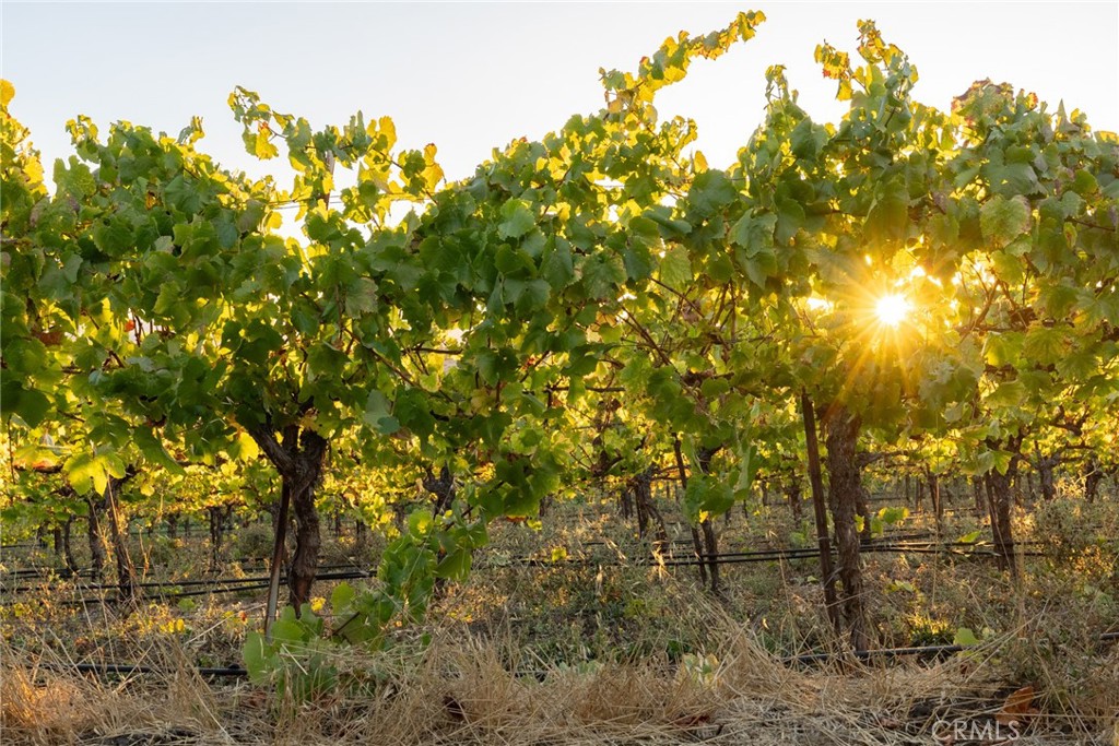 5502 Los Ranchos Road San Luis Obispo, CA 93401 - Photo 27 of 75