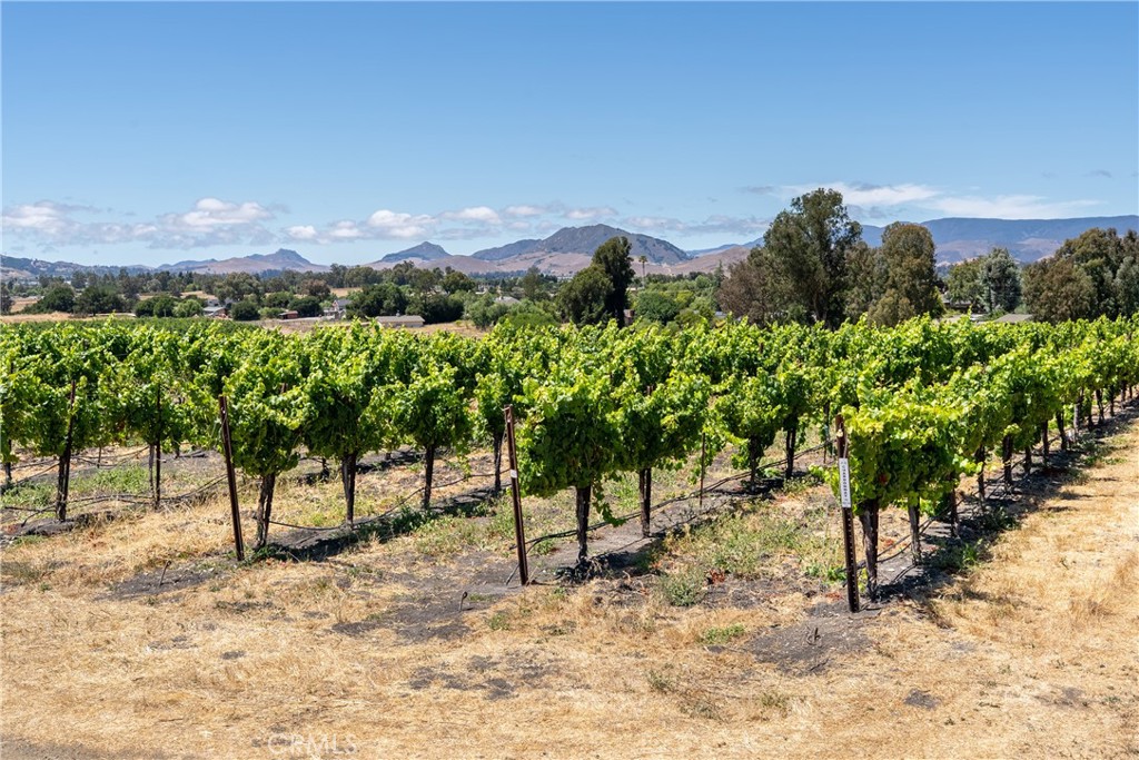 5502 Los Ranchos Road San Luis Obispo, CA 93401 - Photo 28 of 75