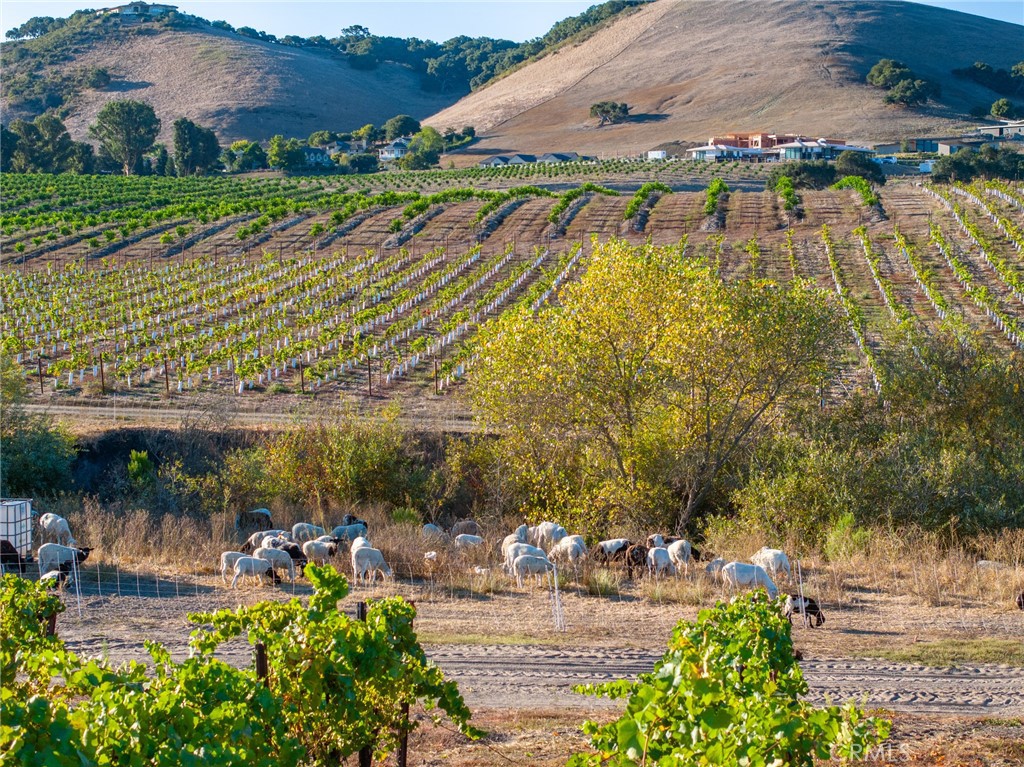5502 Los Ranchos Road San Luis Obispo, CA 93401 - Photo 30 of 75