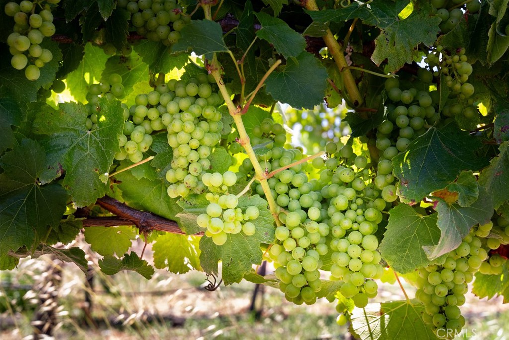 5502 Los Ranchos Road San Luis Obispo, CA 93401 - Photo 33 of 75