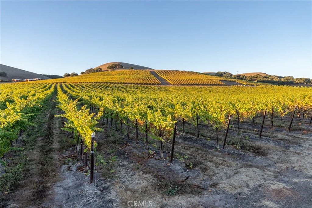 5502 Los Ranchos Road San Luis Obispo, CA 93401 - Photo 38 of 75