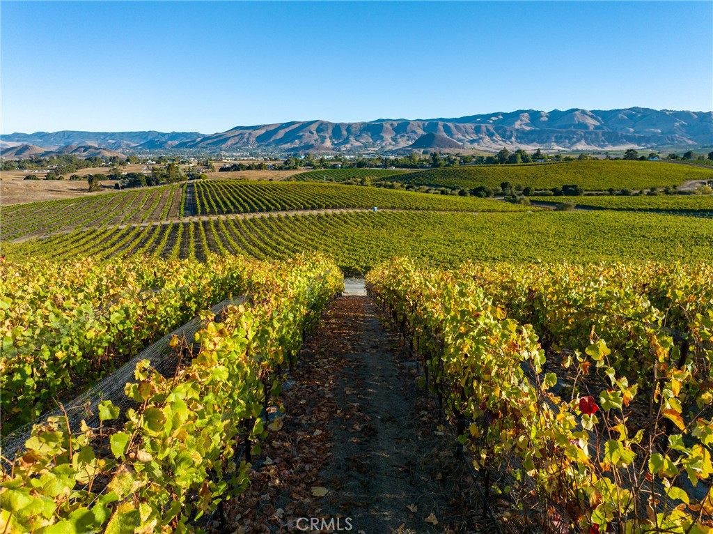 5502 Los Ranchos Road San Luis Obispo, CA 93401 - Photo 61 of 75