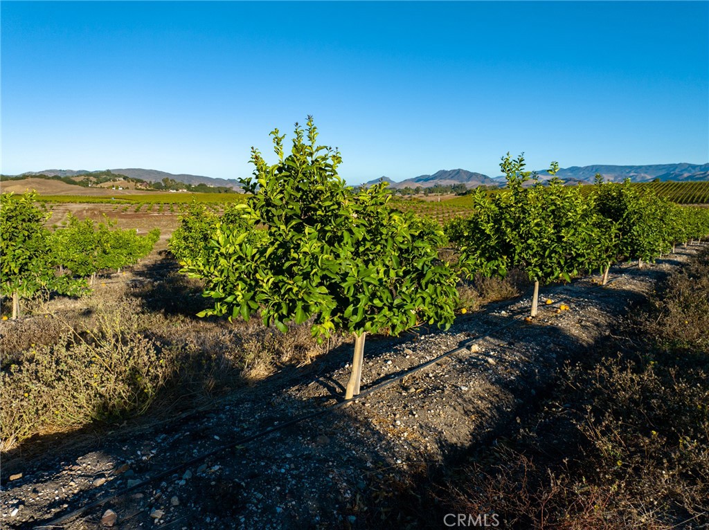 5502 Los Ranchos Road San Luis Obispo, CA 93401 - Photo 62 of 75