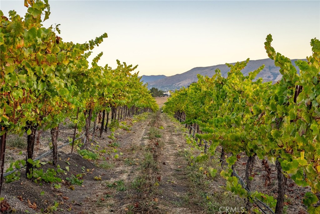 5502 Los Ranchos Road San Luis Obispo, CA 93401 - Photo 64 of 75