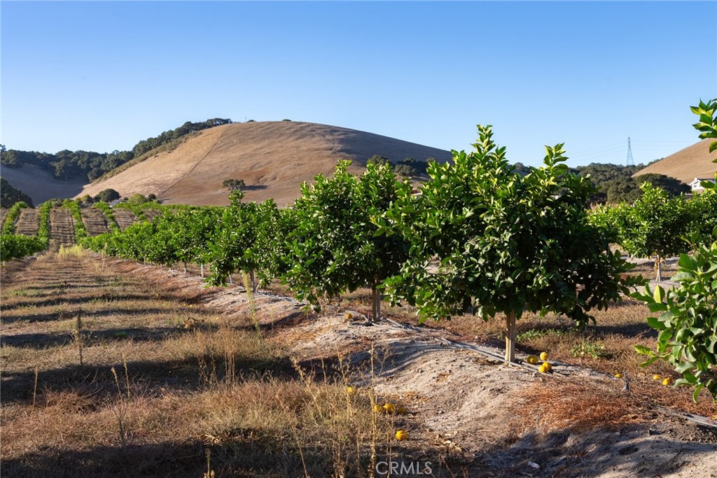 5502 Los Ranchos Road San Luis Obispo, CA 93401 - Photo 66 of 75