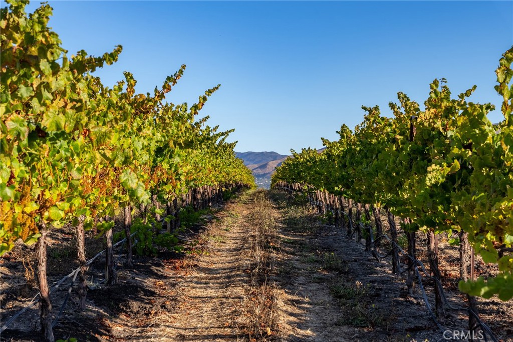 5502 Los Ranchos Road San Luis Obispo, CA 93401 - Photo 67 of 75