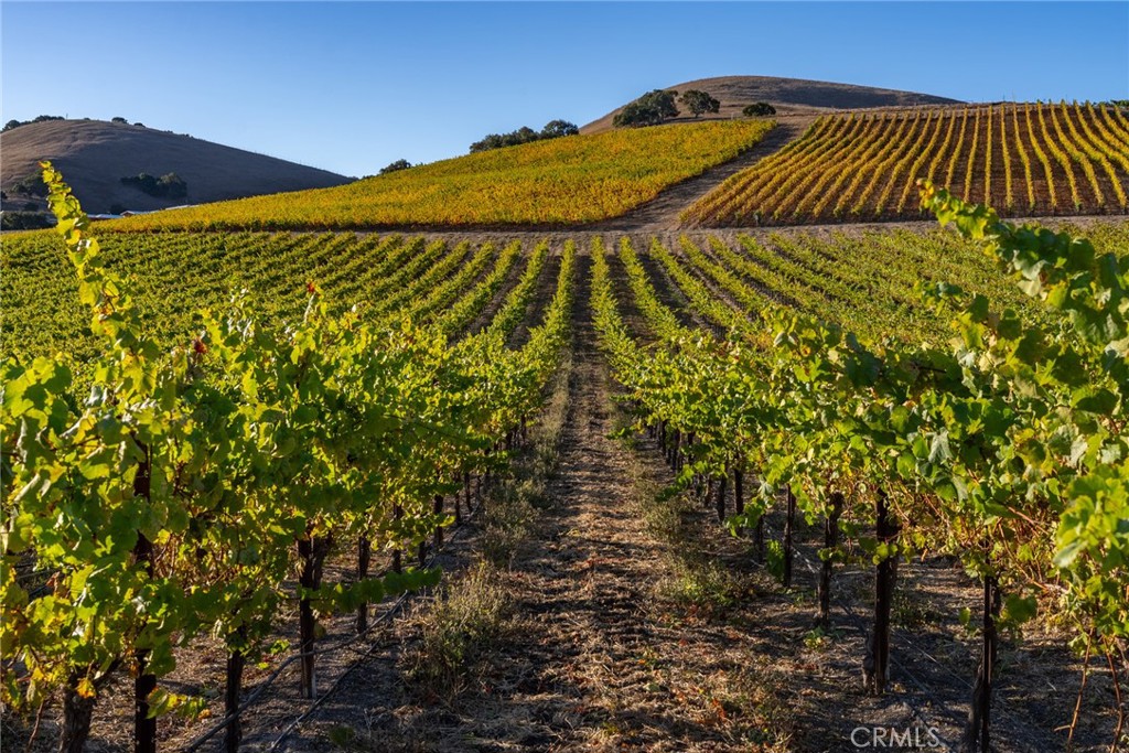 5502 Los Ranchos Road San Luis Obispo, CA 93401 - Photo 68 of 75