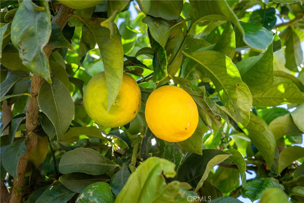 5502 Los Ranchos Road San Luis Obispo, CA 93401 - Photo 7 of 75