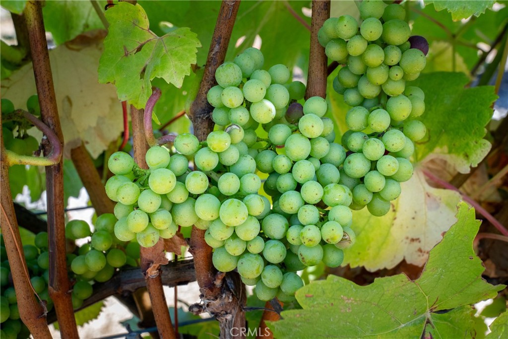 5502 Los Ranchos Road San Luis Obispo, CA 93401 - Photo 8 of 75