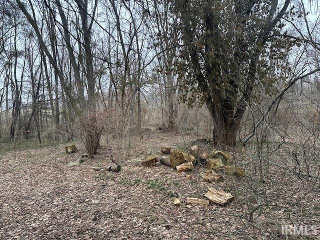 55131 Pear Road South Bend, IN 46628 - Photo 20 of 29